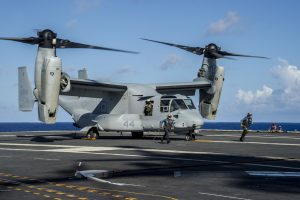 Japan Osprey