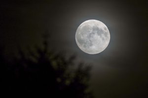 full moon copy