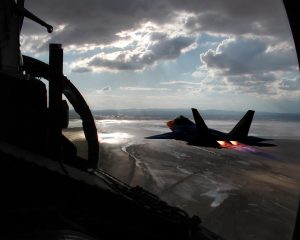 raptor by side