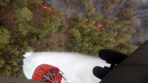 esfire-169-1