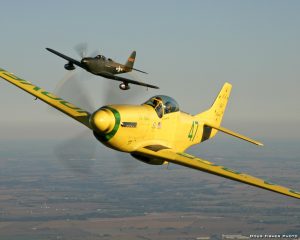 ole-yeller-copy1
