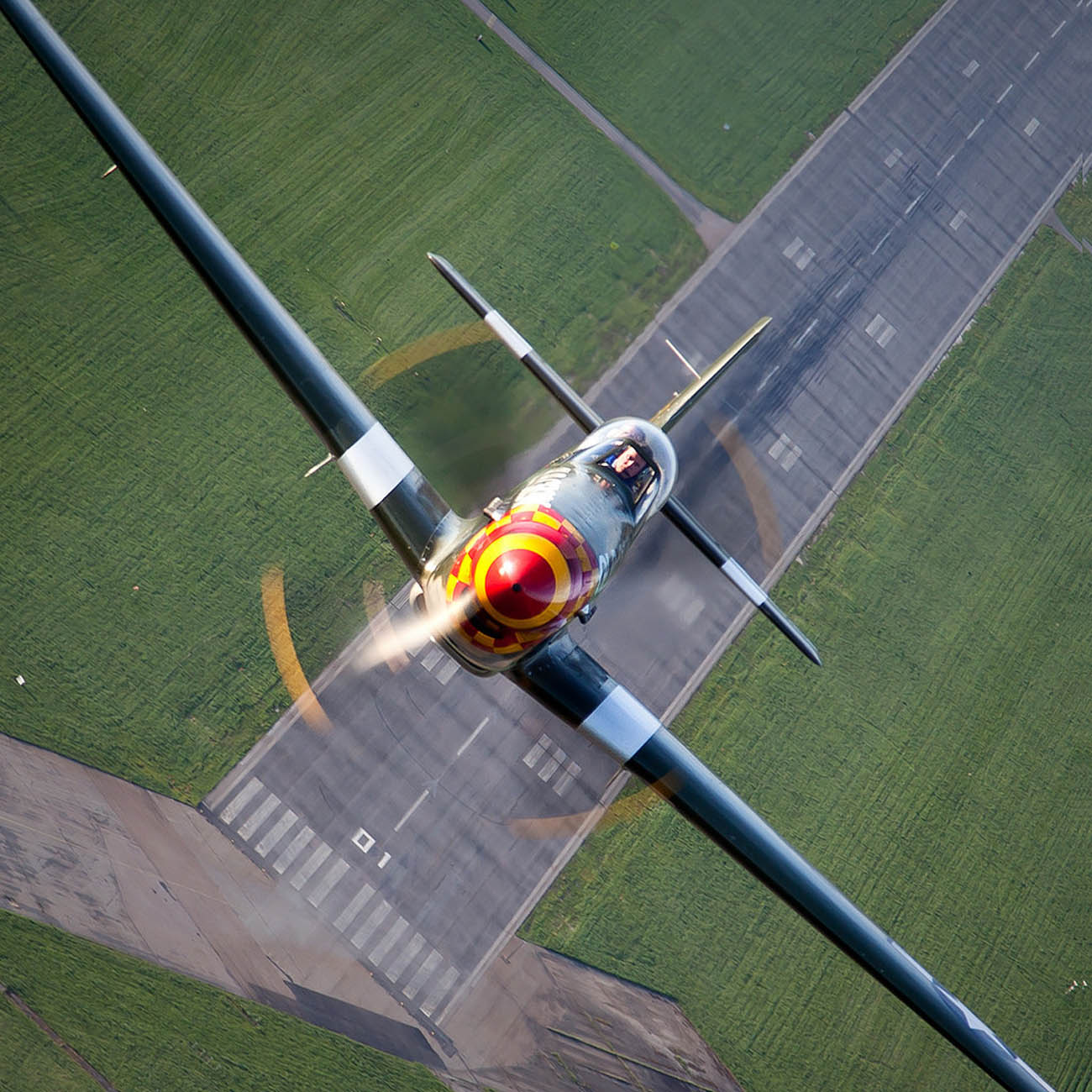 Mustang rising