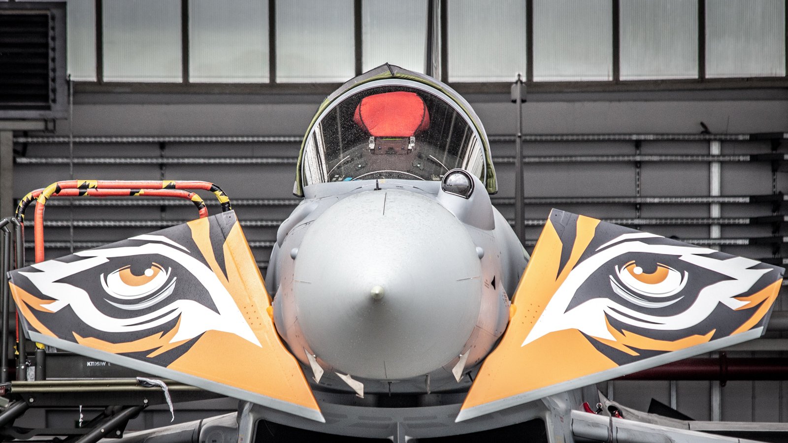 Eyes of the tiger