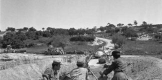 ΣΑΝ ΣΗΜΕΡΑ – 15 Νοεμβρίου 1967: «Επιχείρηση Γρόνθος», τα γεγονότα της Κοφίνου στην Κύπρο