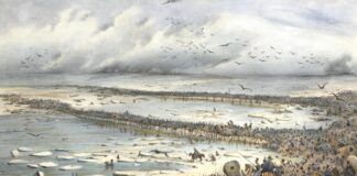 ΣΑΝ ΣΗΜΕΡΑ – 26 Νοεμβρίου 1812: Οι Γάλλοι περνούν τον ποταμό Μπερεζινά – η διαφυγή του Ναπολέοντα