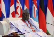 Παραιτήθηκε ο υπουργός Άμυνας της Νιγηρίας μετά τις μαζικές απαγωγές