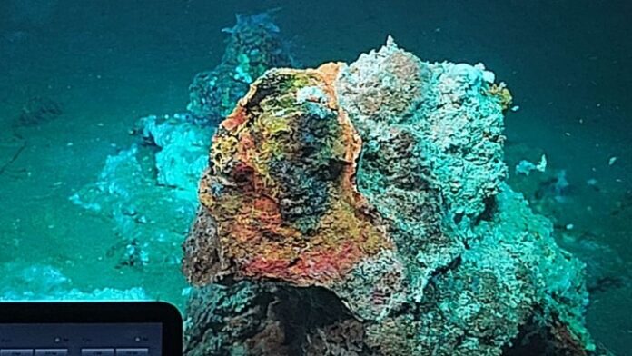 w07-85924IMG20251201WA0004