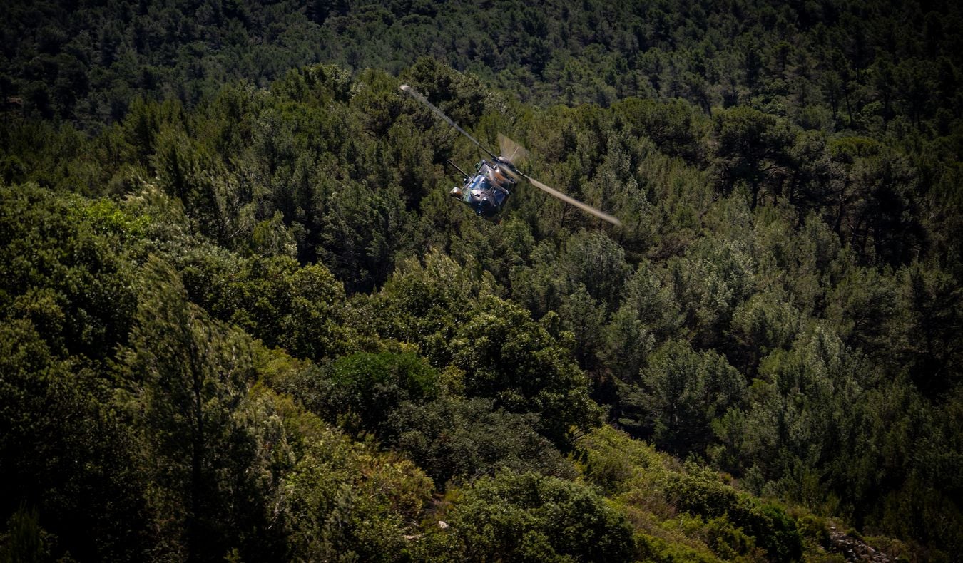 NH90 Standard 2 &sigma;&epsilon; &chi;&alpha;&mu;&eta;&lambda;ή &pi;&tau;ή&sigma;&eta; &pi;ά&nu;&omega; &alpha;&pi;ό &delta;ά&sigma;&omicron;&sigmaf;