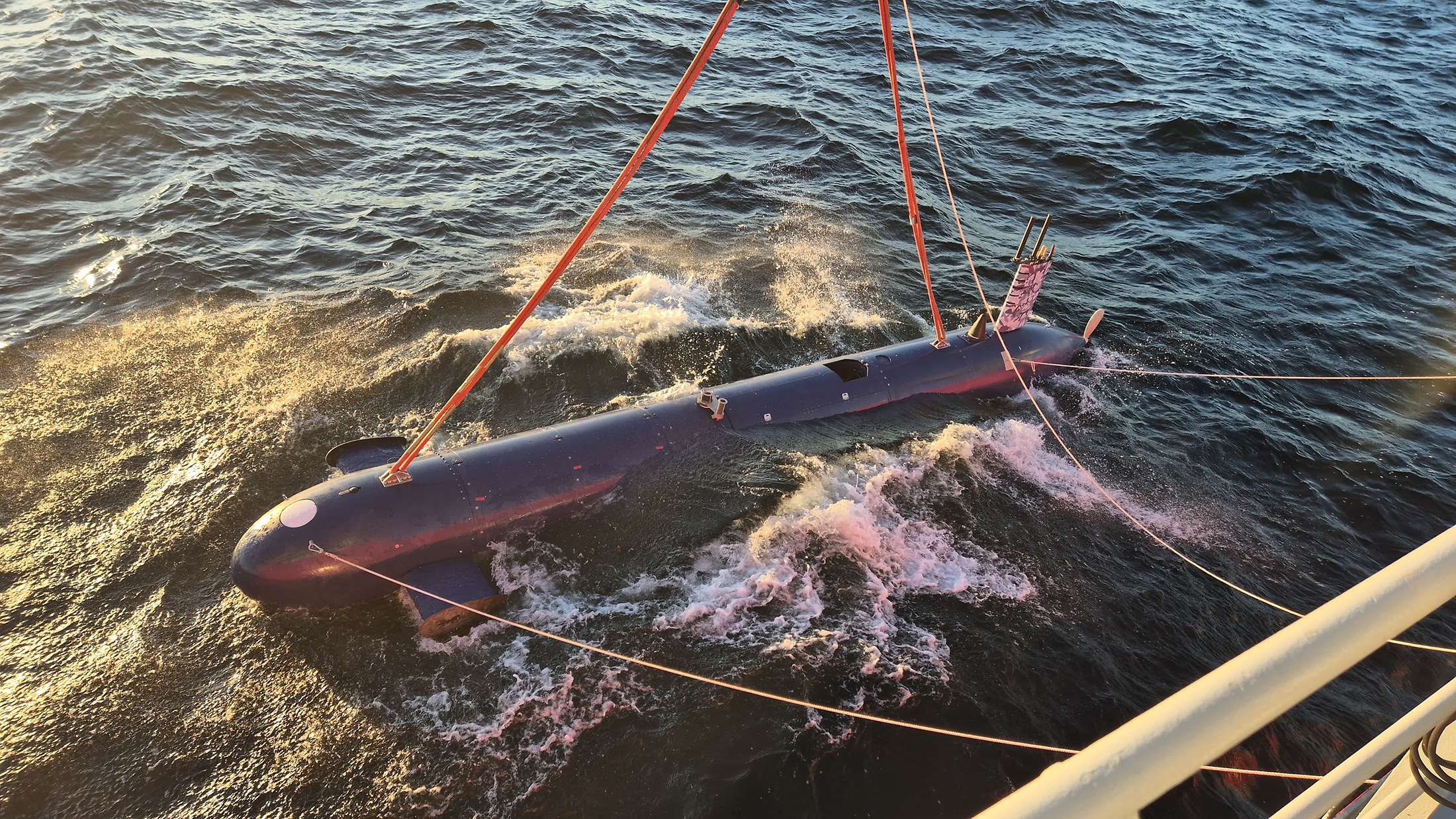 &Kappa;&alpha;&theta;έ&lambda;&kappa;&upsilon;&sigma;&eta; &tau;&omicron;&upsilon; Blue Whale &mu;&epsilon; &gamma;&epsilon;&rho;&alpha;&nu;ό &alpha;&pi;ό &pi;&lambda;&omicron;ί&omicron; &upsilon;&pi;&omicron;&sigma;&tau;ή&rho;&iota;&xi;&eta;&sigmaf;